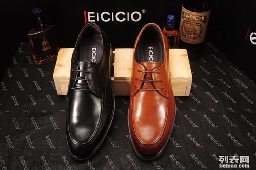 广州专业真皮鞋履工厂 专注中高档男女鞋，承接OEM贴牌业务